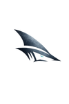 Vegas Shark